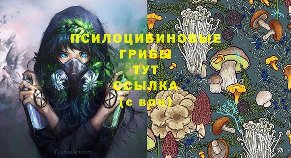 меф Арсеньев