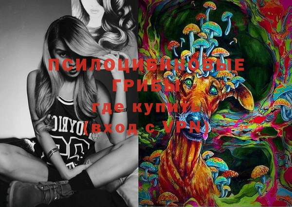 меф Арсеньев