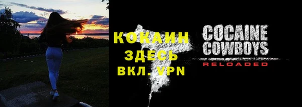 меф Арсеньев